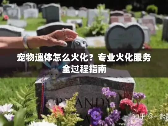 宠物遗体怎么火化？专业火化服务全过程指南