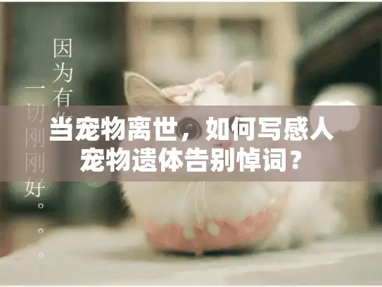 当宠物离世，如何写感人宠物遗体告别悼词？