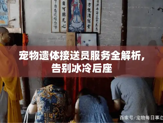 宠物遗体接送员服务全解析,告别冰冷后座