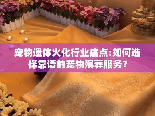 宠物遗体火化行业痛点:如何选择靠谱的宠物殡葬服务？