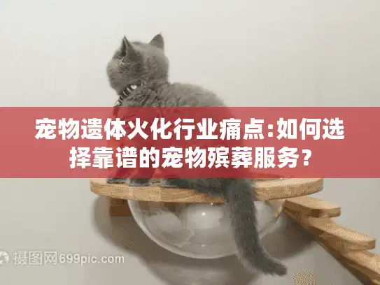 宠物遗体火化行业痛点:如何选择靠谱的宠物殡葬服务？