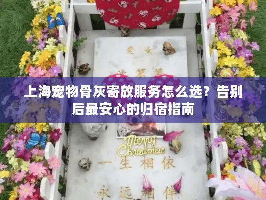 上海宠物骨灰寄放服务怎么选？告别后最安心的归宿指南