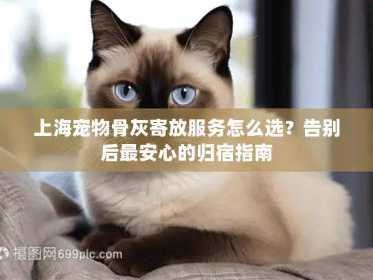 上海宠物骨灰寄放服务怎么选？告别后最安心的归宿指南