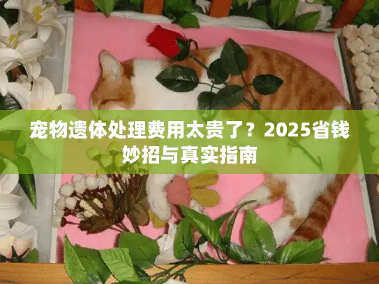 宠物遗体处理费用太贵了？2025省钱妙招与真实指南