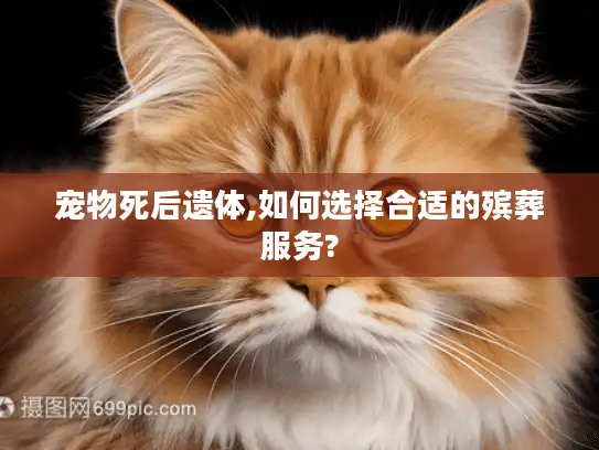宠物死后遗体,如何选择合适的殡葬服务?