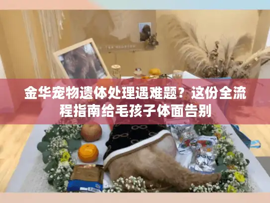 金华宠物遗体处理遇难题？这份全流程指南给毛孩子体面告别