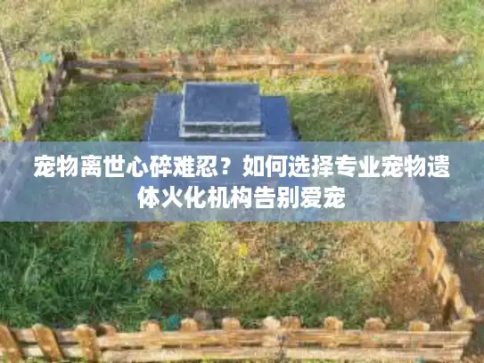 宠物离世心碎难忍？如何选择专业宠物遗体火化机构告别爱宠