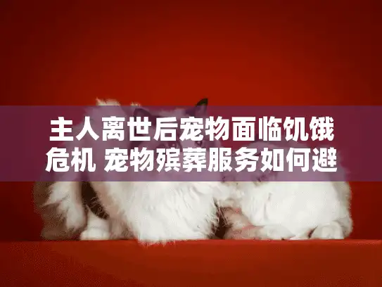 主人离世后宠物面临饥饿危机 宠物殡葬服务如何避免悲剧发生