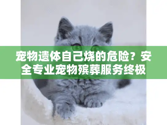 宠物遗体自己烧的危险？安全专业宠物殡葬服务终极指南
