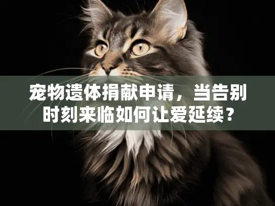 宠物遗体捐献申请，当告别时刻来临如何让爱延续？
