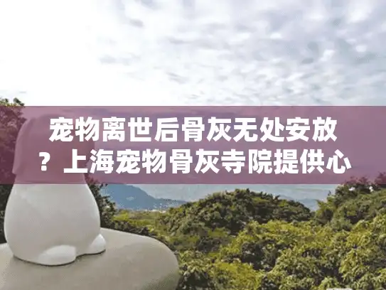 宠物离世后骨灰无处安放？上海宠物骨灰寺院提供心灵慰藉之地