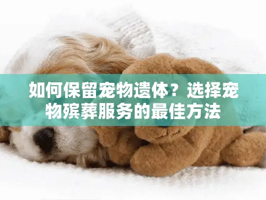 如何保留宠物遗体？选择宠物殡葬服务的最佳方法