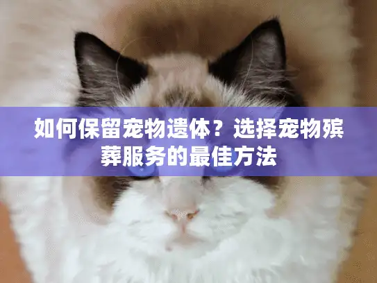如何保留宠物遗体？选择宠物殡葬服务的最佳方法