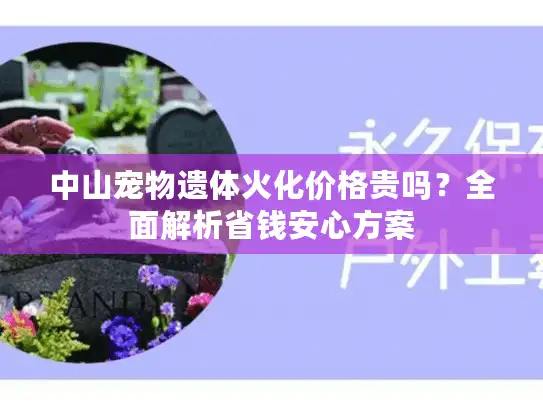中山宠物遗体火化价格贵吗？全面解析省钱安心方案