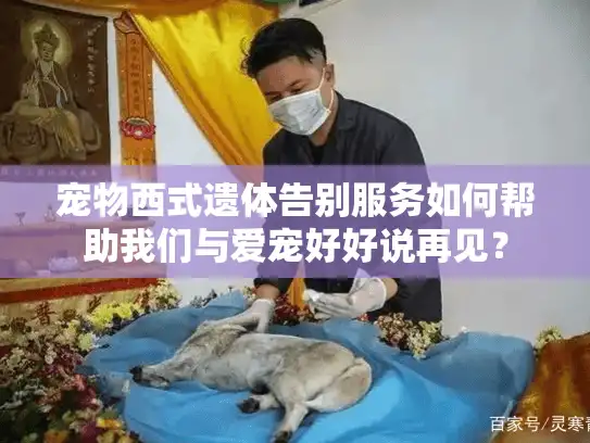 宠物西式遗体告别服务如何帮助我们与爱宠好好说再见？