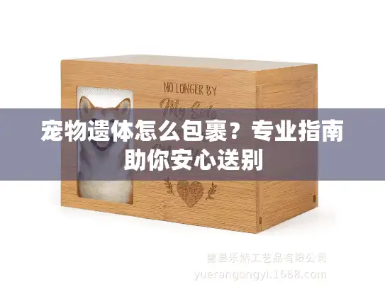 宠物遗体怎么包裹？专业指南助你安心送别