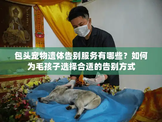 包头宠物遗体告别服务有哪些？如何为毛孩子选择合适的告别方式