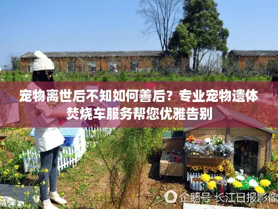 宠物离世后不知如何善后？专业宠物遗体焚烧车服务帮您优雅告别