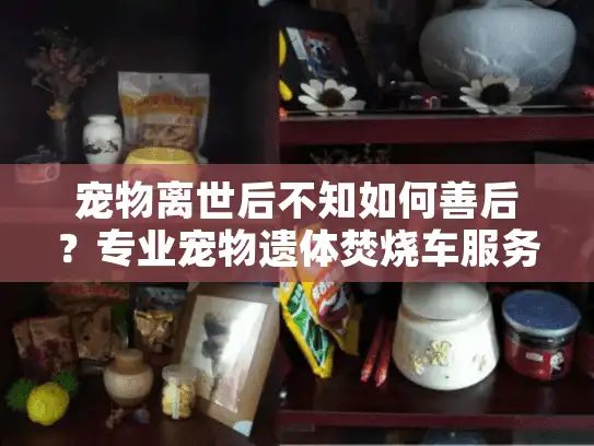 宠物离世后不知如何善后？专业宠物遗体焚烧车服务帮您优雅告别