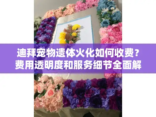 迪拜宠物遗体火化如何收费？费用透明度和服务细节全面解析