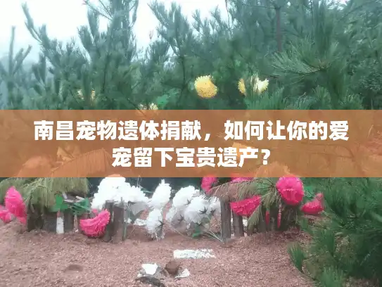 南昌宠物遗体捐献，如何让你的爱宠留下宝贵遗产？
