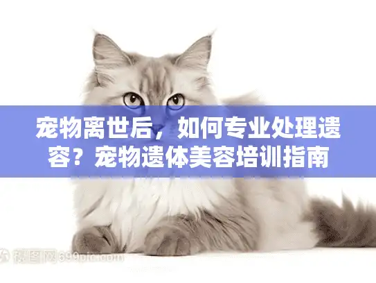 宠物离世后，如何专业处理遗容？宠物遗体美容培训指南