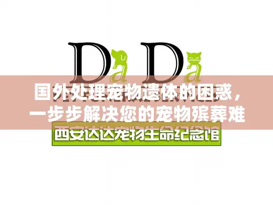 国外处理宠物遗体的困惑，一步步解决您的宠物殡葬难题