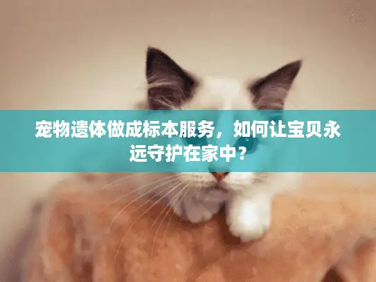 宠物遗体做成标本服务，如何让宝贝永远守护在家中？