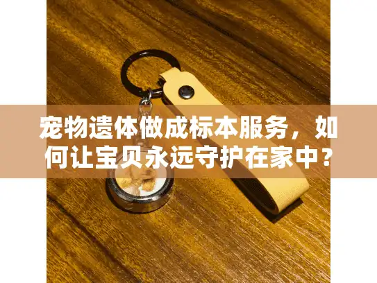 宠物遗体做成标本服务，如何让宝贝永远守护在家中？