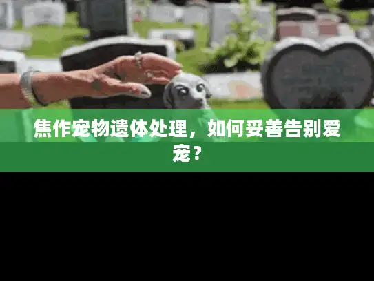 焦作宠物遗体处理，如何妥善告别爱宠？