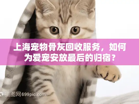 上海宠物骨灰回收服务，如何为爱宠安放最后的归宿？