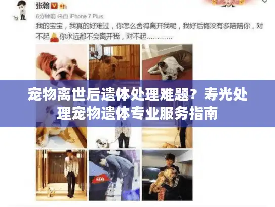 宠物离世后遗体处理难题？寿光处理宠物遗体专业服务指南