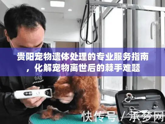 贵阳宠物遗体处理的专业服务指南，化解宠物离世后的棘手难题