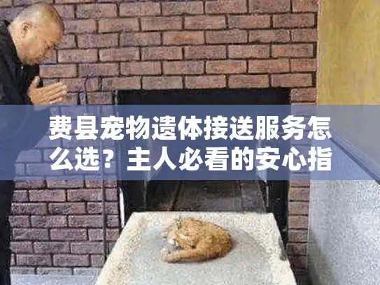 费县宠物遗体接送服务怎么选？主人必看的安心指南