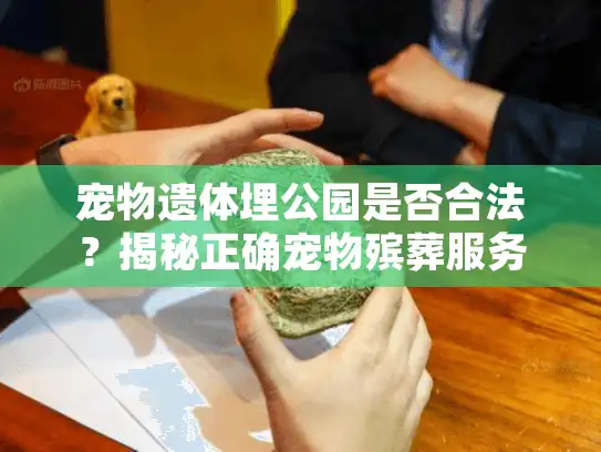 宠物遗体埋公园是否合法？揭秘正确宠物殡葬服务选择