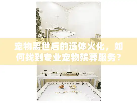 宠物离世后的遗体火化，如何找到专业宠物殡葬服务？