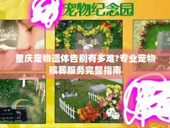 重庆宠物遗体告别有多难?专业宠物殡葬服务完整指南