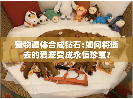 宠物遗体合成钻石:如何将逝去的爱宠变成永恒珍宝?
