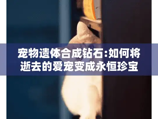 宠物遗体合成钻石:如何将逝去的爱宠变成永恒珍宝?