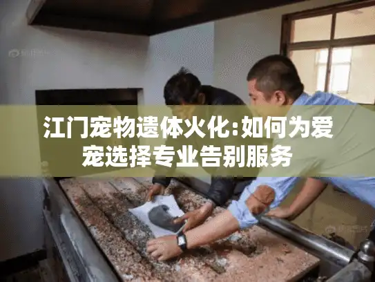 江门宠物遗体火化:如何为爱宠选择专业告别服务