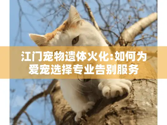 江门宠物遗体火化:如何为爱宠选择专业告别服务