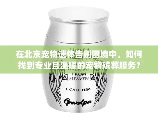 在北京宠物遗体告别困境中，如何找到专业且温暖的宠物殡葬服务？