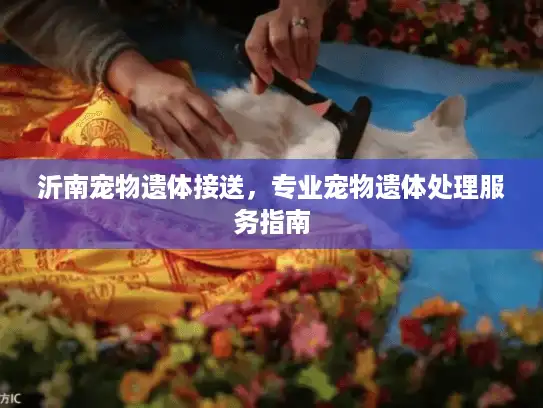 沂南宠物遗体接送，专业宠物遗体处理服务指南