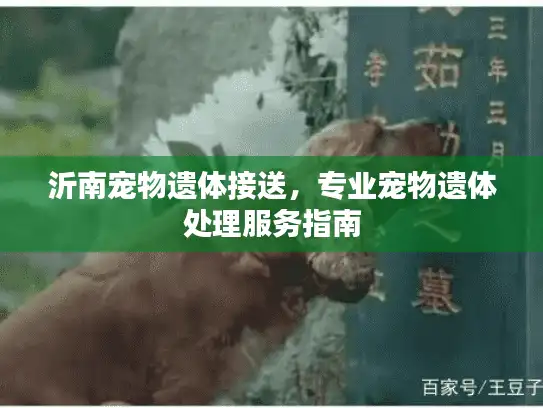 沂南宠物遗体接送，专业宠物遗体处理服务指南