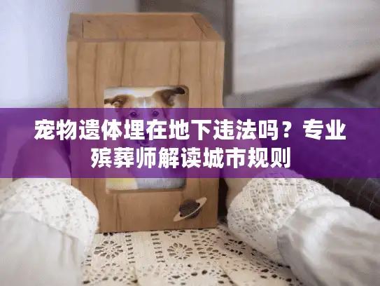 宠物遗体埋在地下违法吗？专业殡葬师解读城市规则