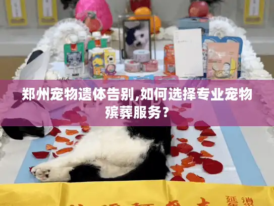 郑州宠物遗体告别,如何选择专业宠物殡葬服务？