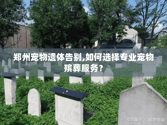 郑州宠物遗体告别,如何选择专业宠物殡葬服务？