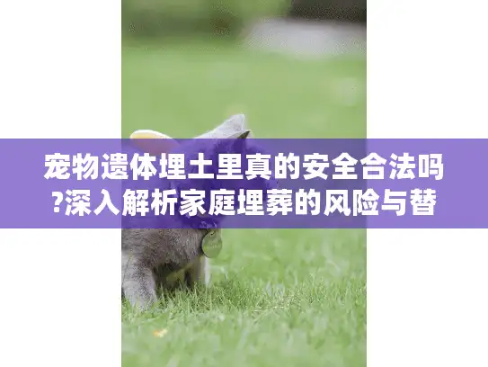 宠物遗体埋土里真的安全合法吗?深入解析家庭埋葬的风险与替代方案
