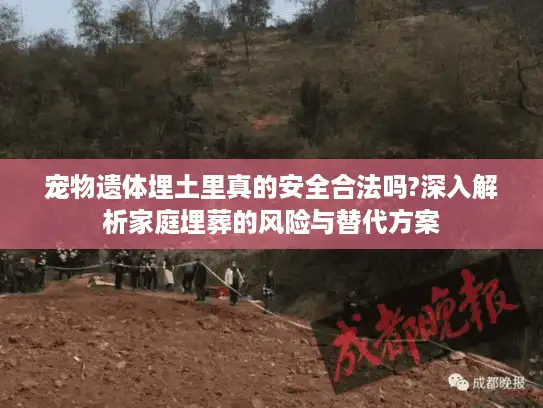 宠物遗体埋土里真的安全合法吗?深入解析家庭埋葬的风险与替代方案