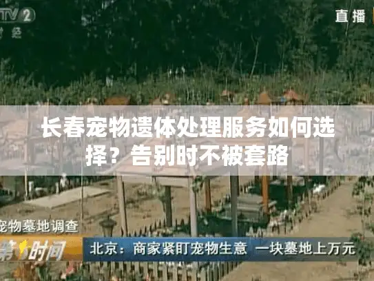 长春宠物遗体处理服务如何选择？告别时不被套路